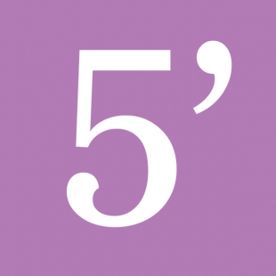 5' VISION 