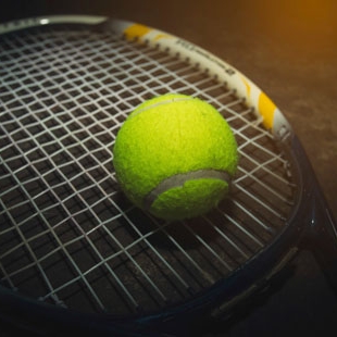 Todo sobre "TENIS"