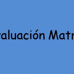 Autoevaluación de matrices 2019-2020